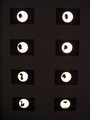 Ukázky způsobu vytváření různých stínů rukou (vidět jsou vzhledem k světelným podmínkám jen výsledky na pomyslné stěně).